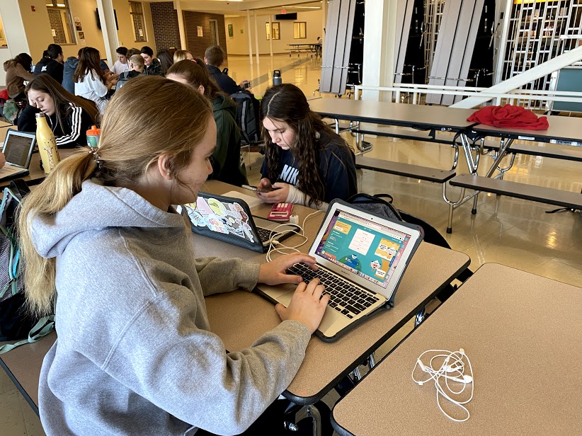 Playing to Win; Sophomore Kinley Riesselman (22) does not even have Mr. Johnson and she still plays freerice to help the school out. I like playing Freerice because it is one of the few games thats fun and educational, Riesselman said.