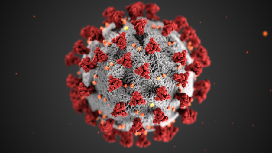 The Same, But Different The newest iteration of a deadly pandemic has a very similar look to some of its predecessors. The National Institute of Allergy and Infectious Diseases has said the disease looks much like the SARS virus that worried the world in late 2002.