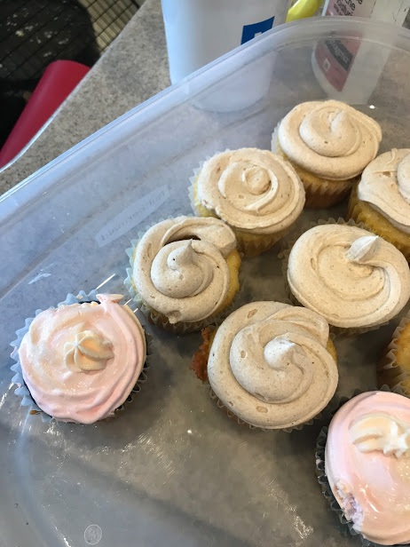 Sweet and Tasty; Julia Otto (22) has been busy on this break by hosting her own bake-off against her mom. Ottos cupcake was the pink with white and her moms is the light brown. The bake-off ended in a tie, Otto said.