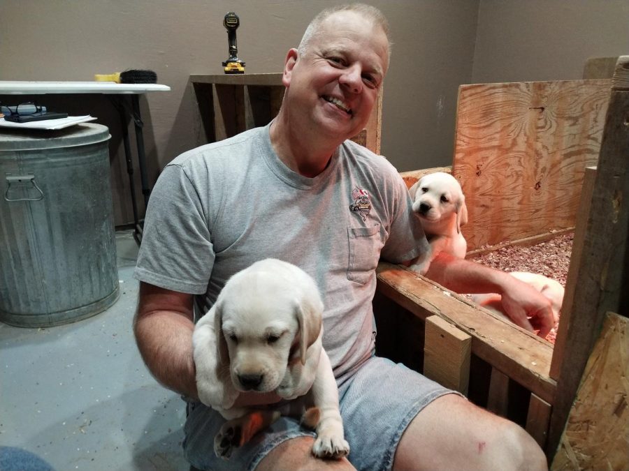 Barking up the right tree Gene True holds a young lab from his most recent litter. This litter is staying in a recently built addition to Mr. Trues kennels. Each puppy under his care at the time of publishing has already been reserved for purchase by eager families.