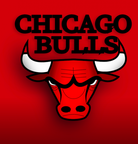 Behind the Bulls