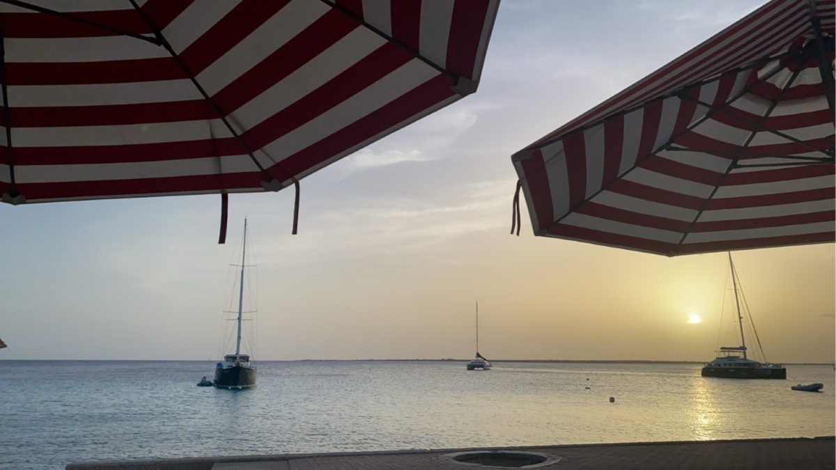 Diving into Bonaire