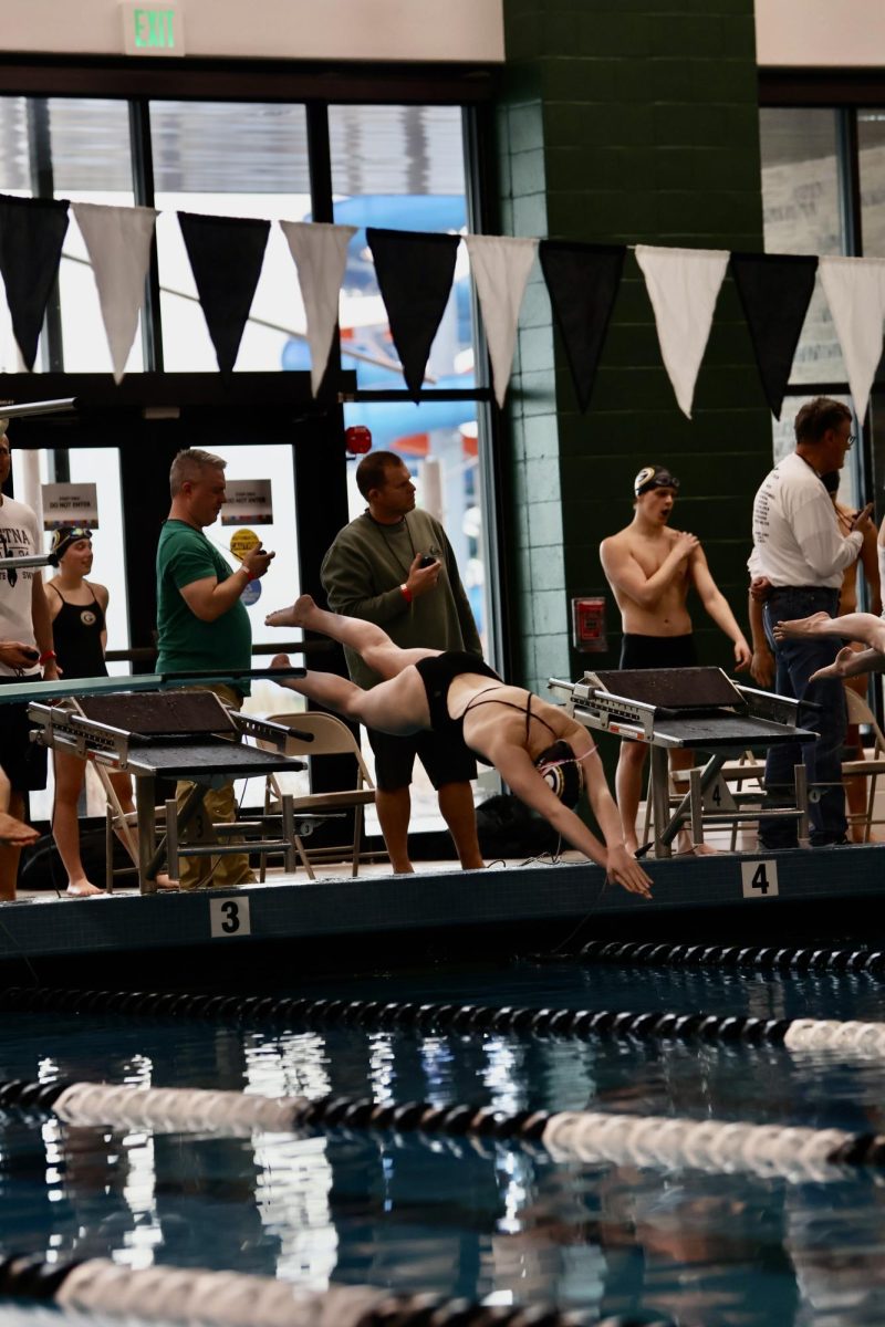 Sophomore Lauren Von Seggern dives cleanly into the water. 