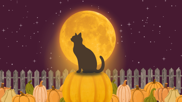 Graphic by Skylar Miller.