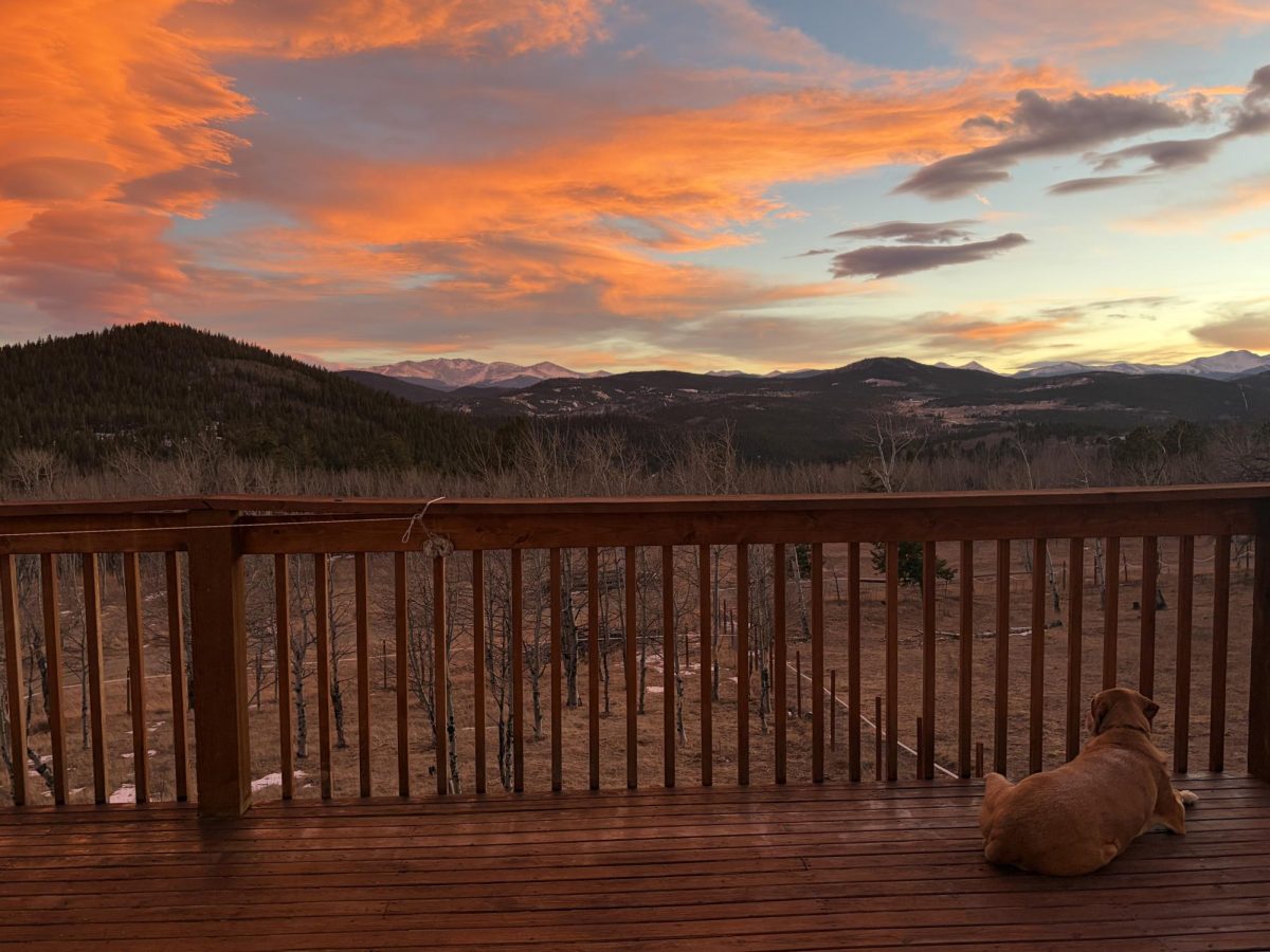 Barley, the dog, admiring the sunset creeping behind the mountains.